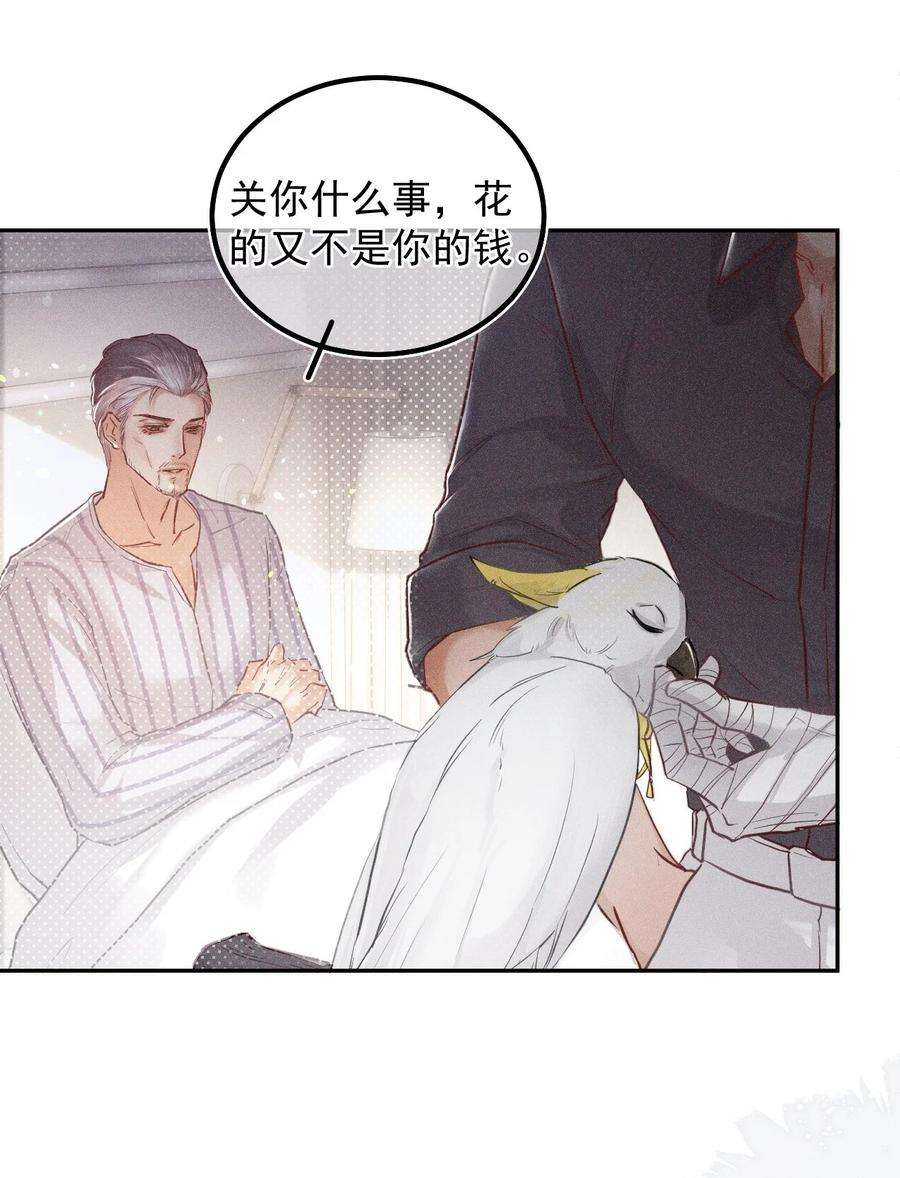 窥视017 钟式恩怨