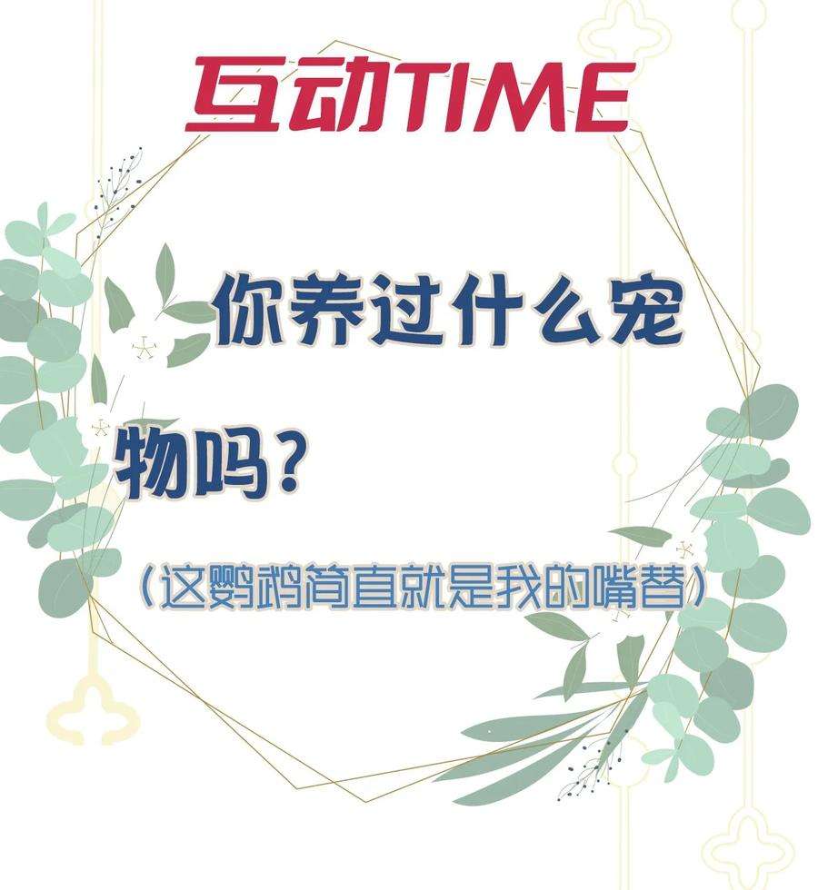 窥视017 钟式恩怨
