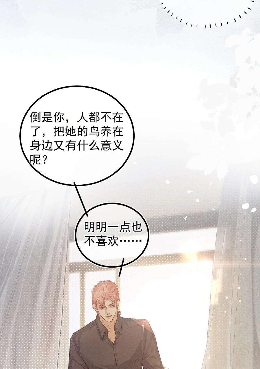 窥视017 钟式恩怨