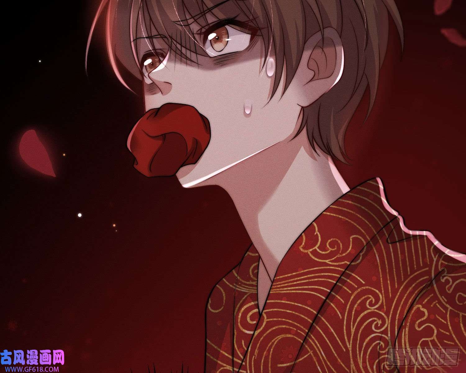 姜愿抢亲