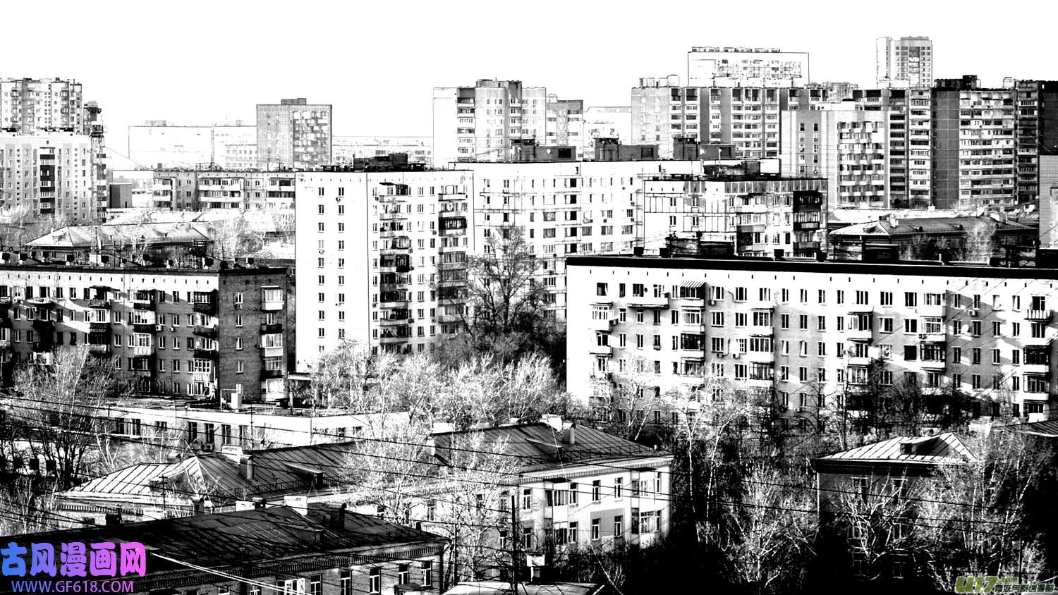 莉莉娅103 繁花梦境