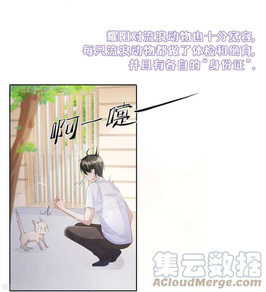 星与星的距离番外 关于耀阳私立高中