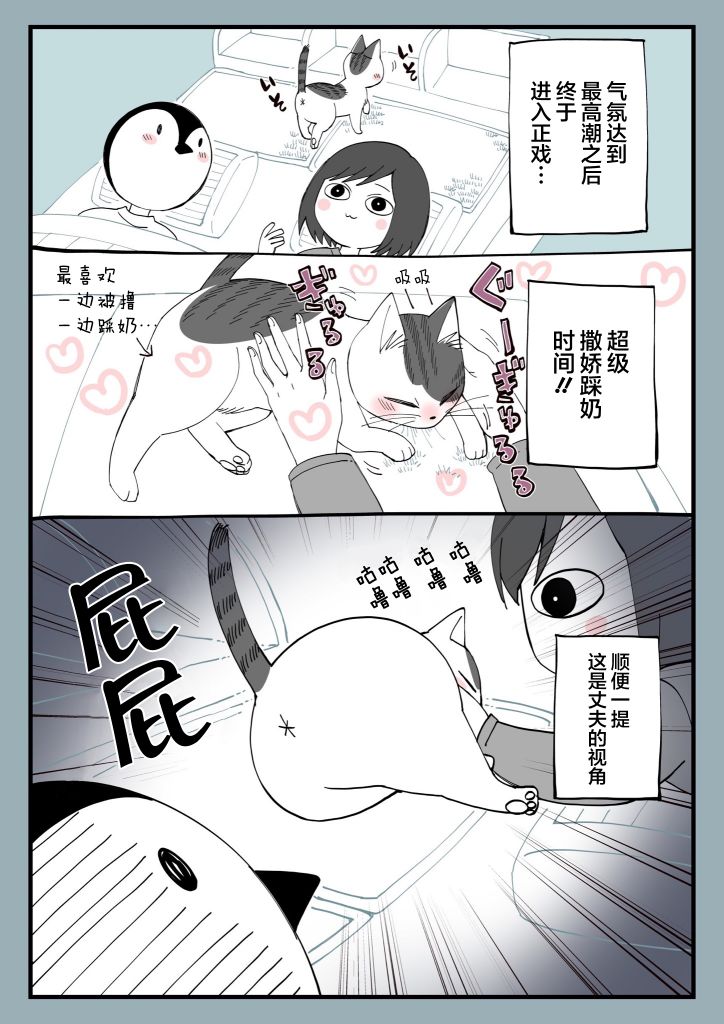 有猫的生活第10话