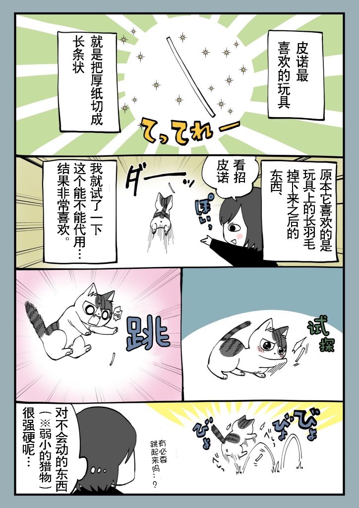 有猫的生活第11话