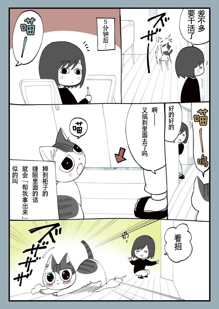 有猫的生活第11话