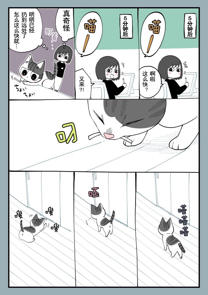 有猫的生活第11话
