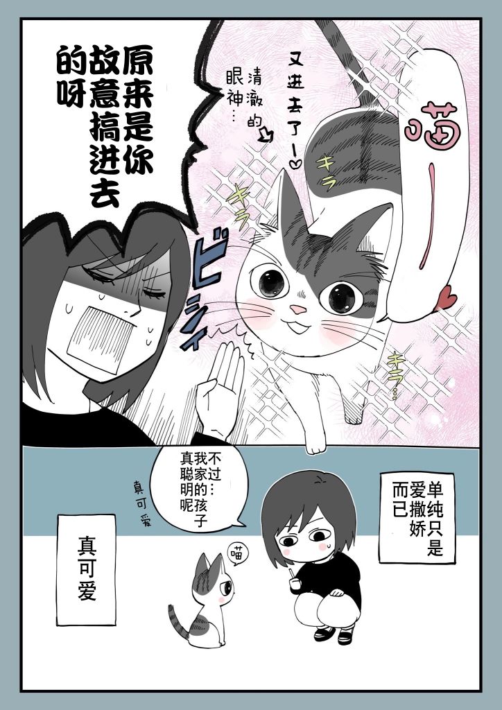 有猫的生活第11话