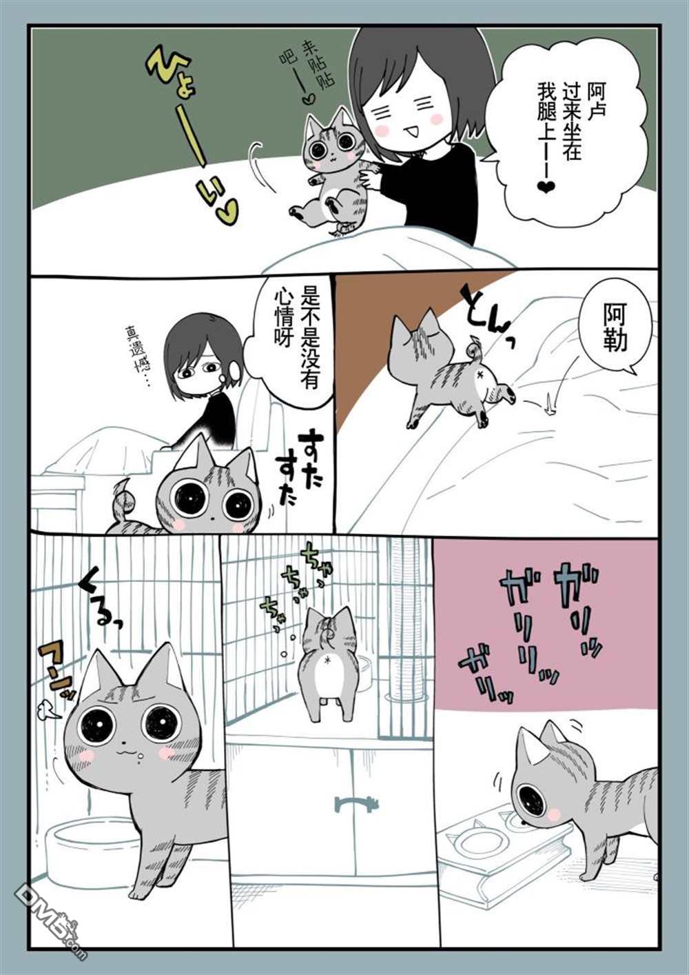 有猫的生活第9话