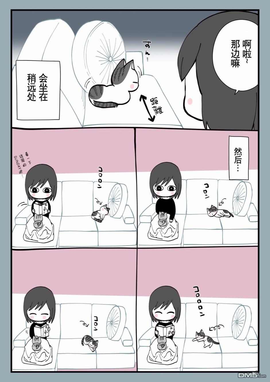 有猫的生活第13话