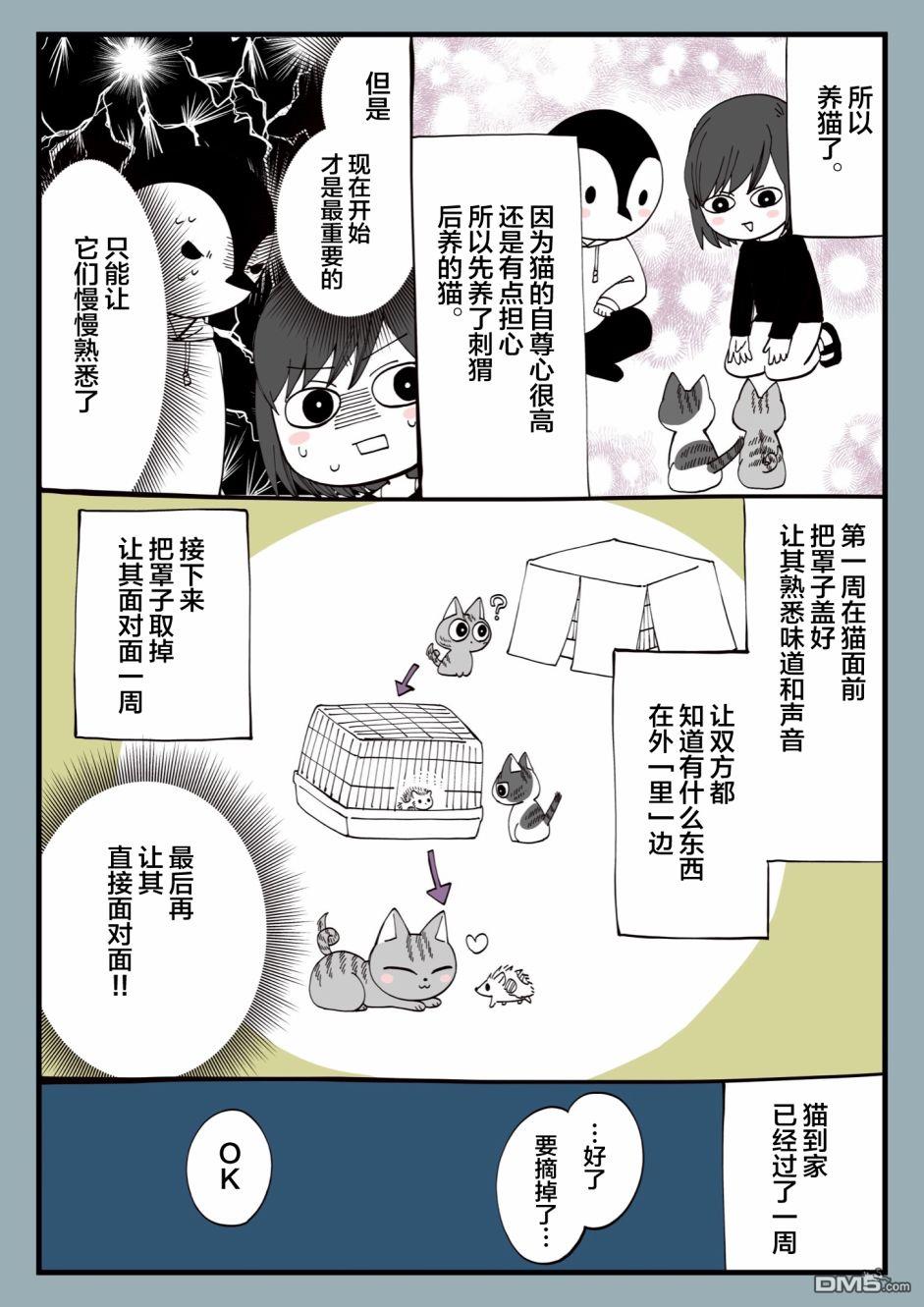 有猫的生活第14话