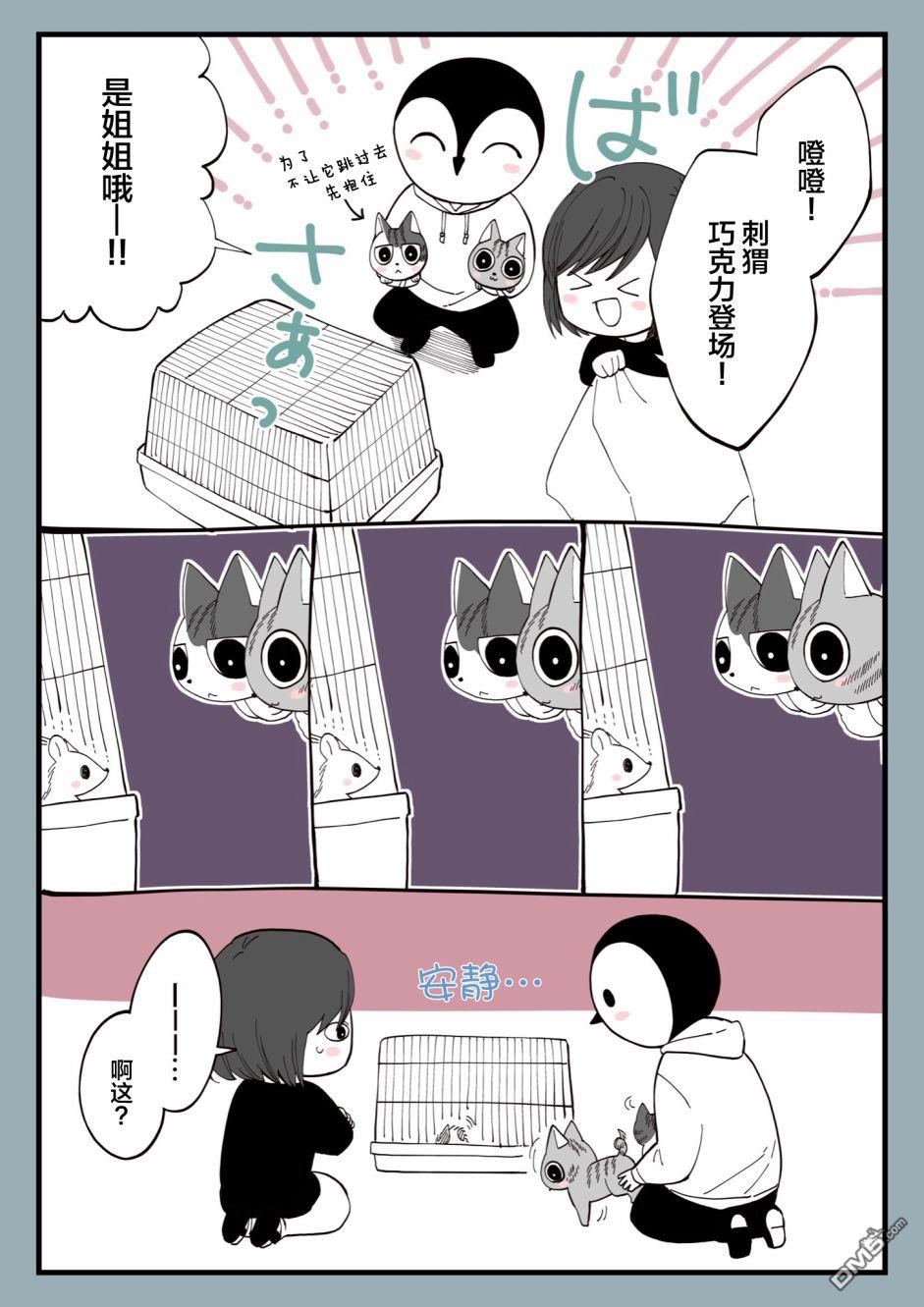 有猫的生活第14话