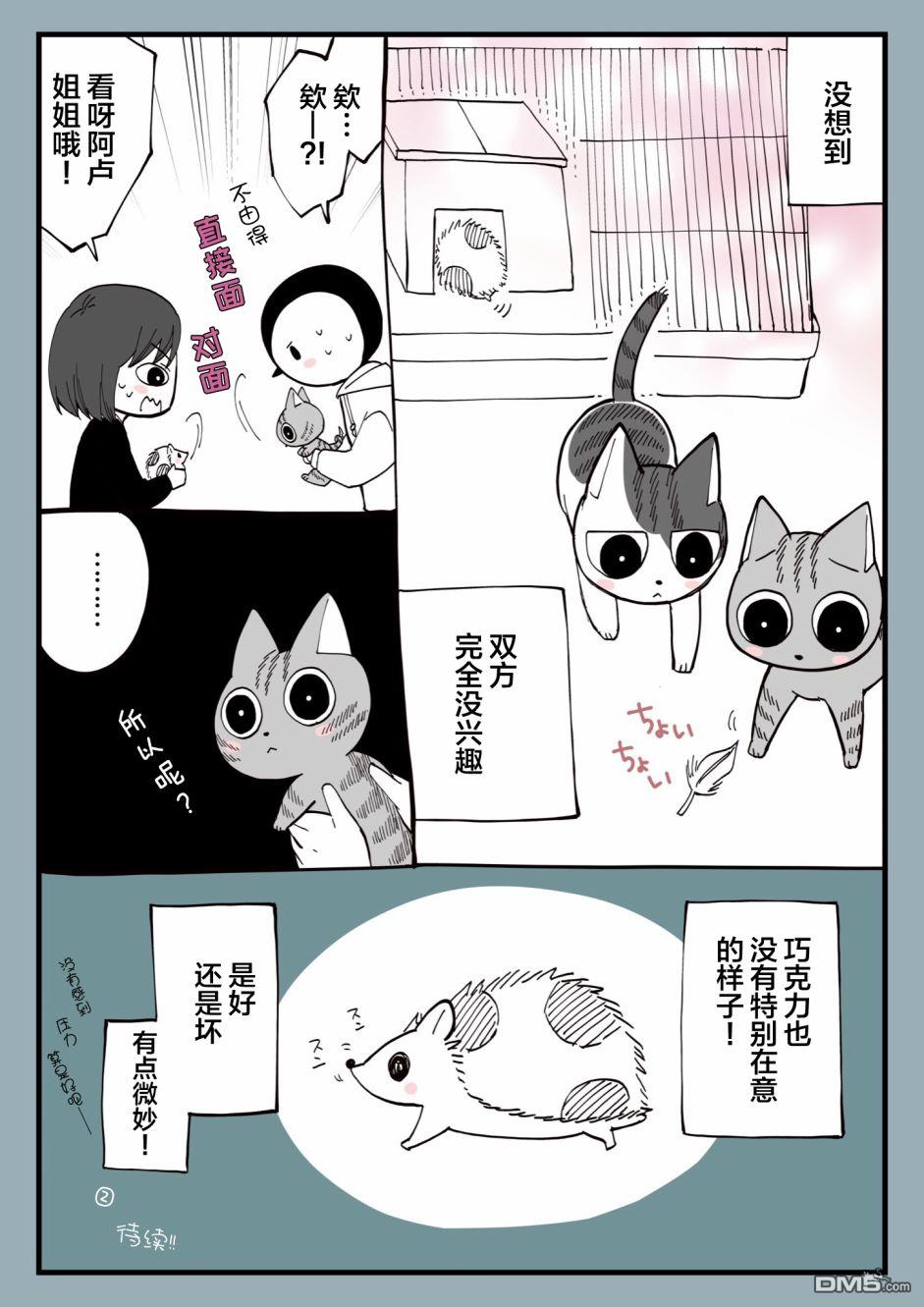有猫的生活第14话