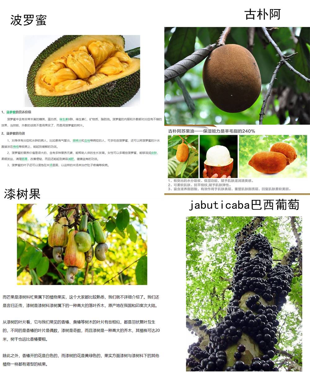 子弹才不会进到锅里来第03话