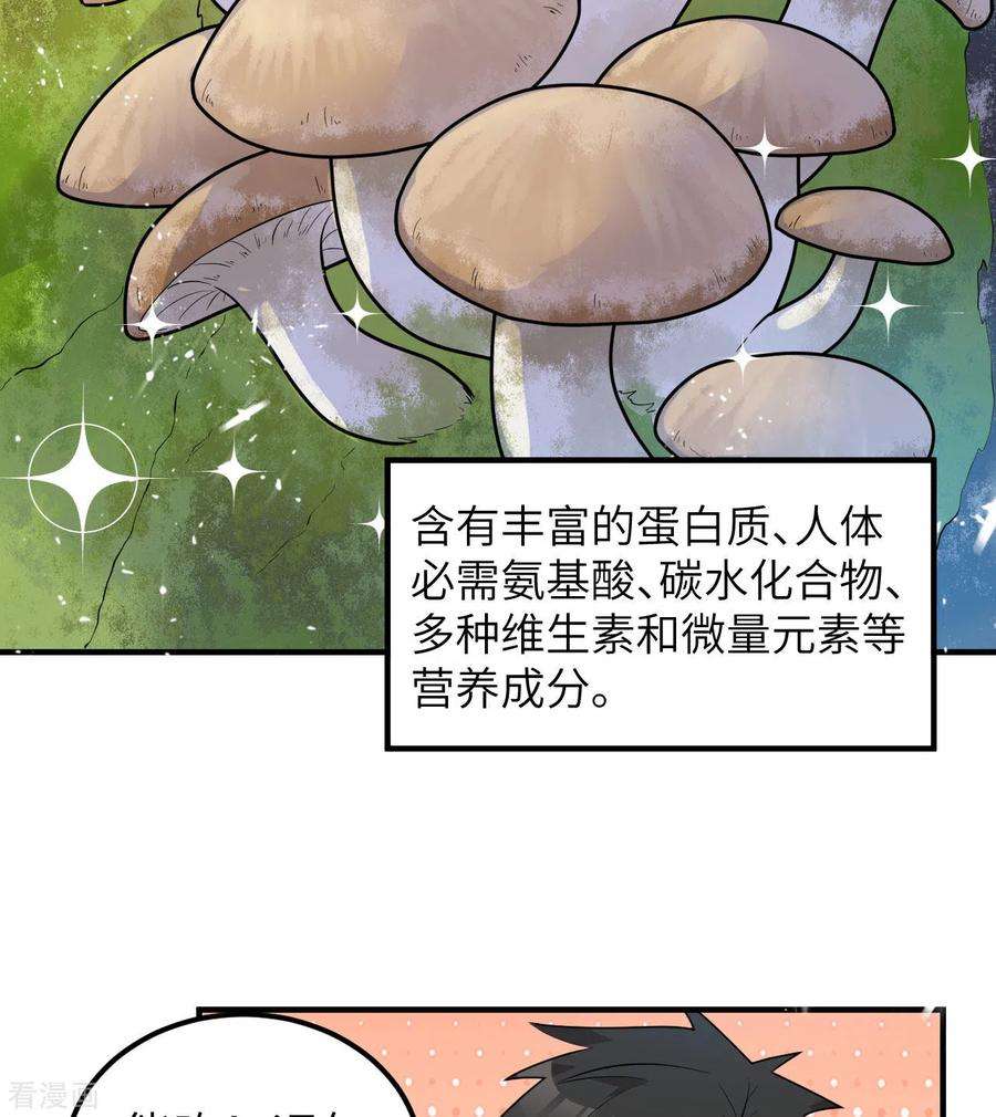 我和妹子们的荒岛余生226话