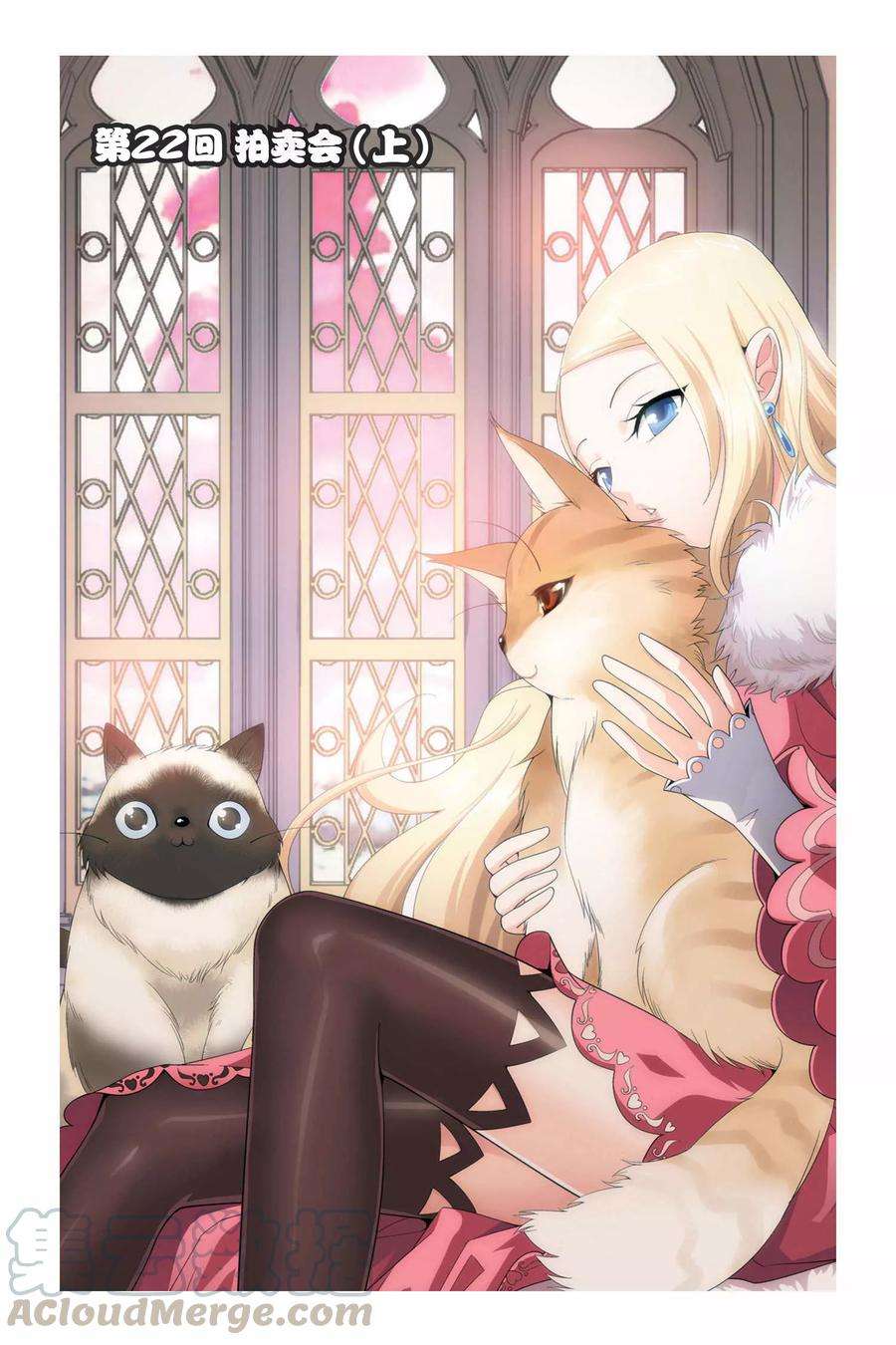 斗破苍穹22话 拍卖会（上）