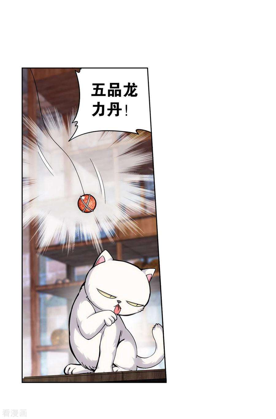 斗破苍穹870话 灵猫
