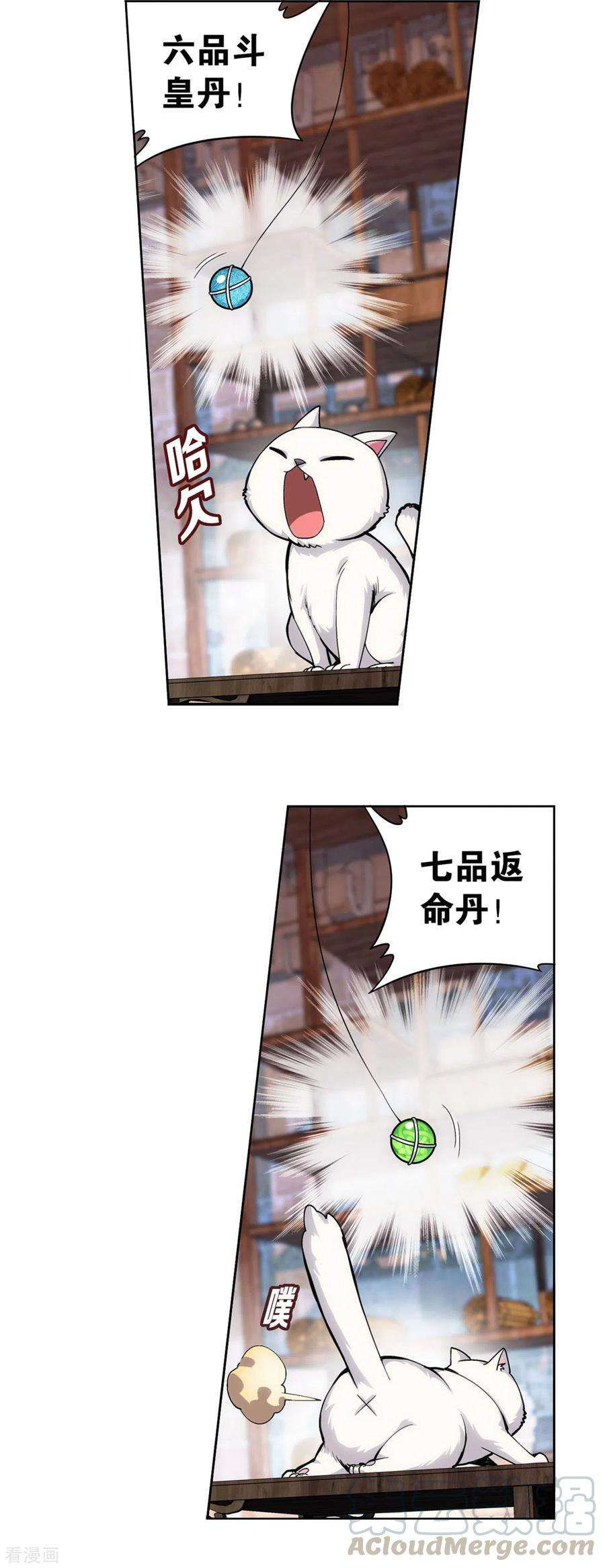 斗破苍穹870话 灵猫