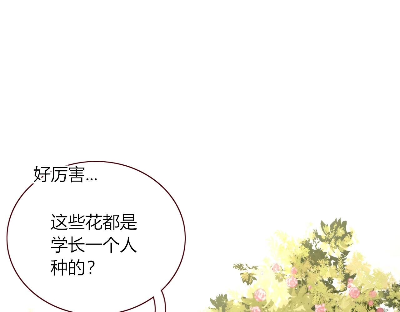 花落成牢第3话 小学弟