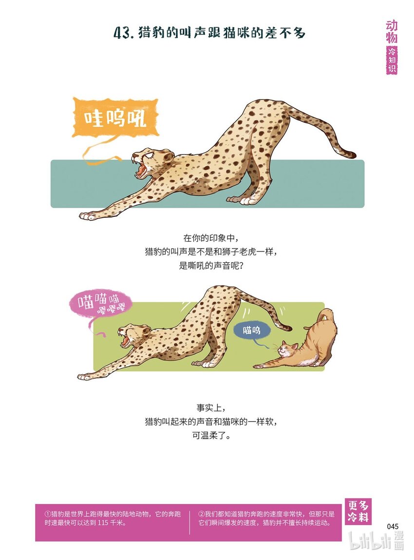 漫画科普：比知识有趣的冷知识卷一 6