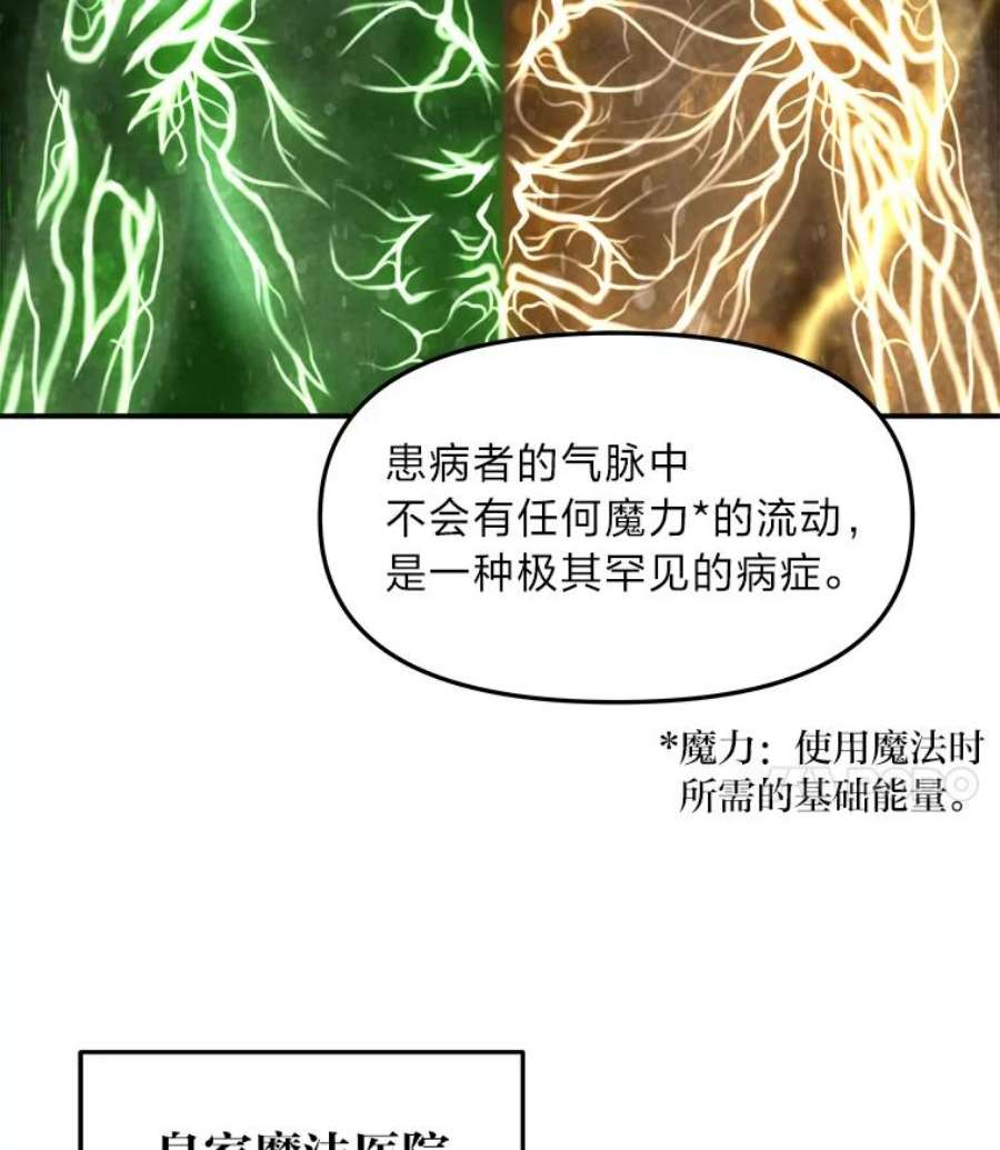 有才能的魔法师1.没落的名门