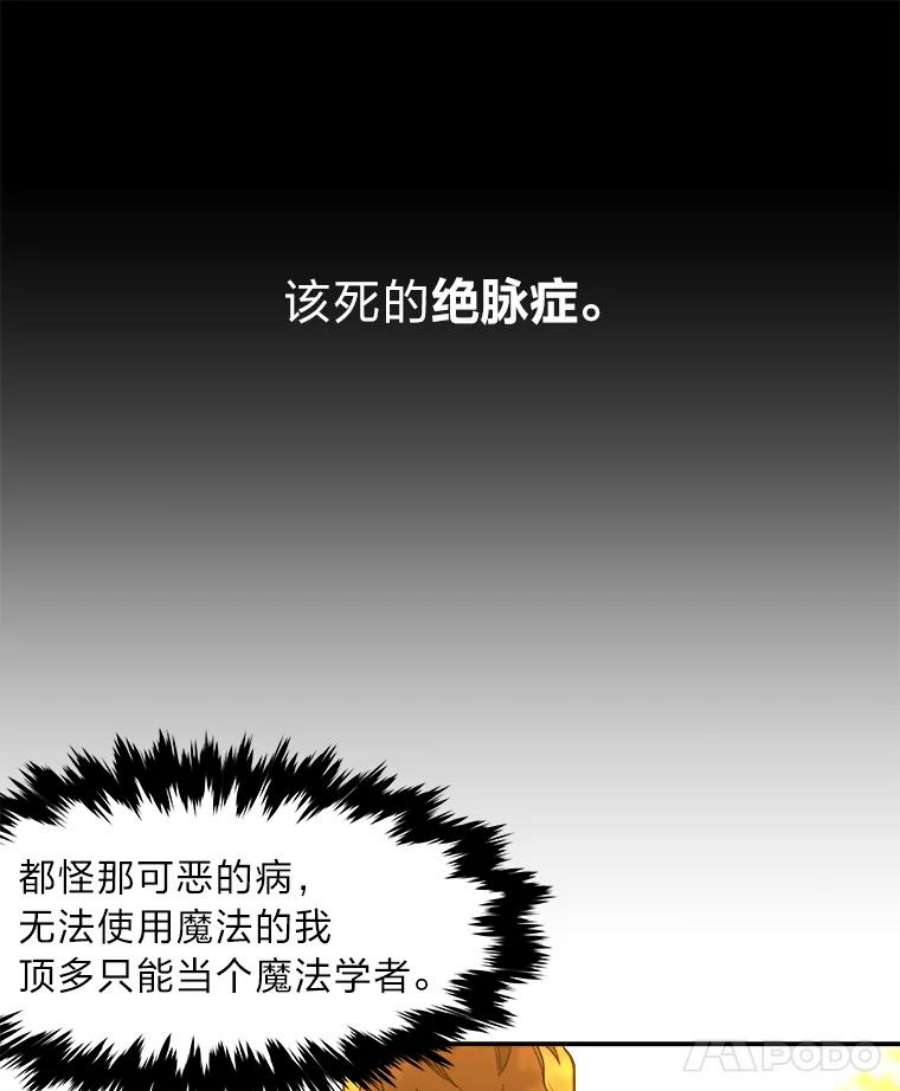 有才能的魔法师1.没落的名门