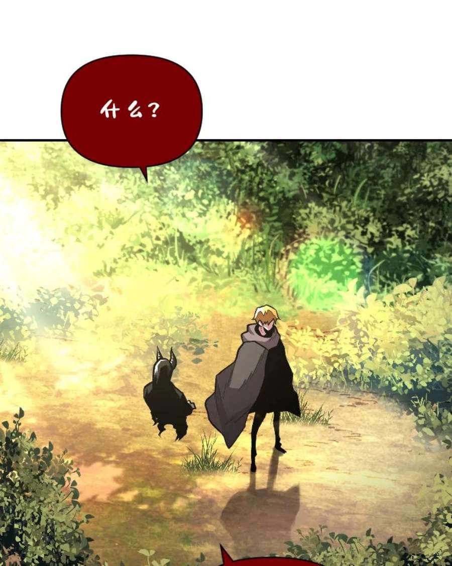 有才能的魔法师12.老师的人选