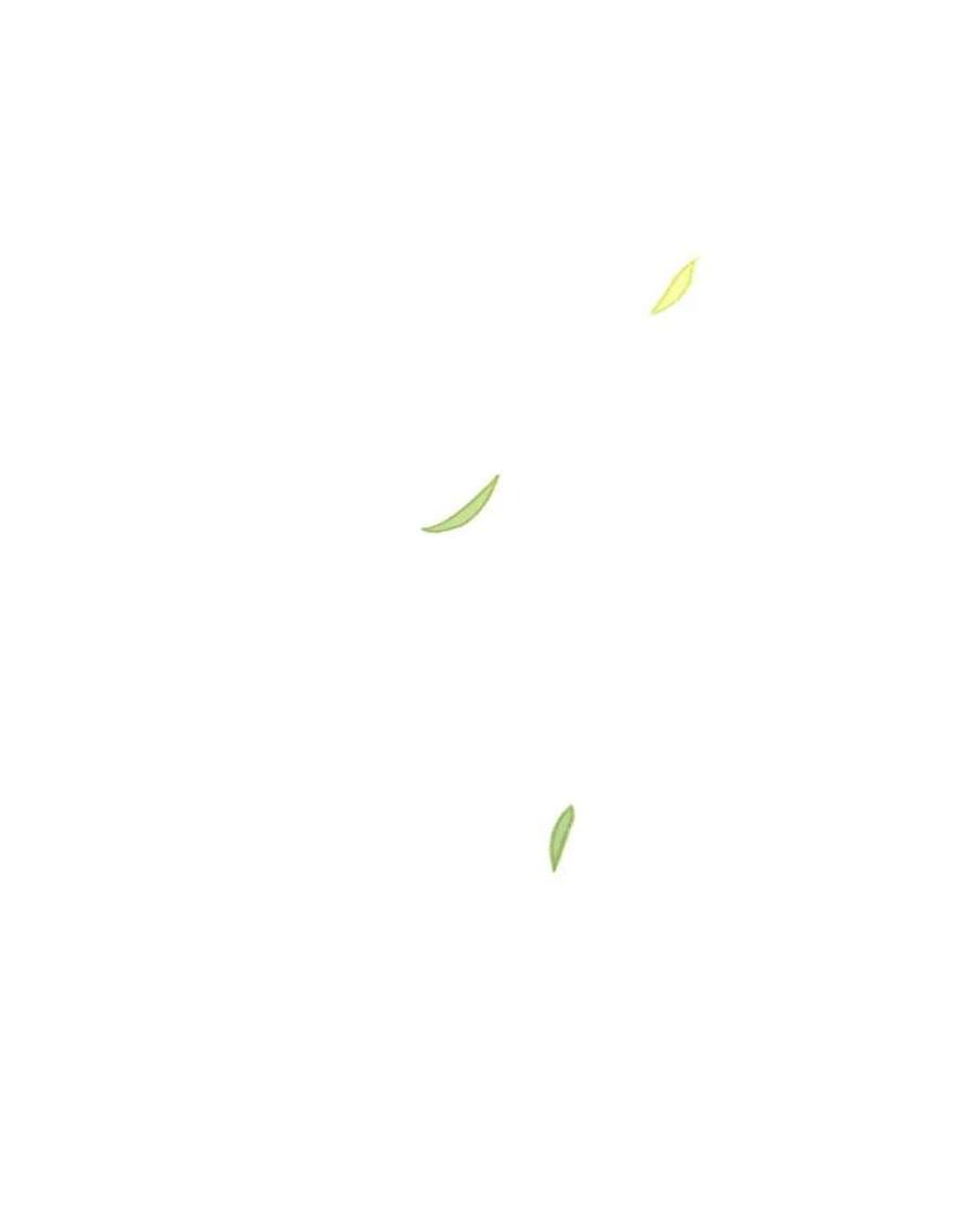 有才能的魔法师17.命运的齿轮