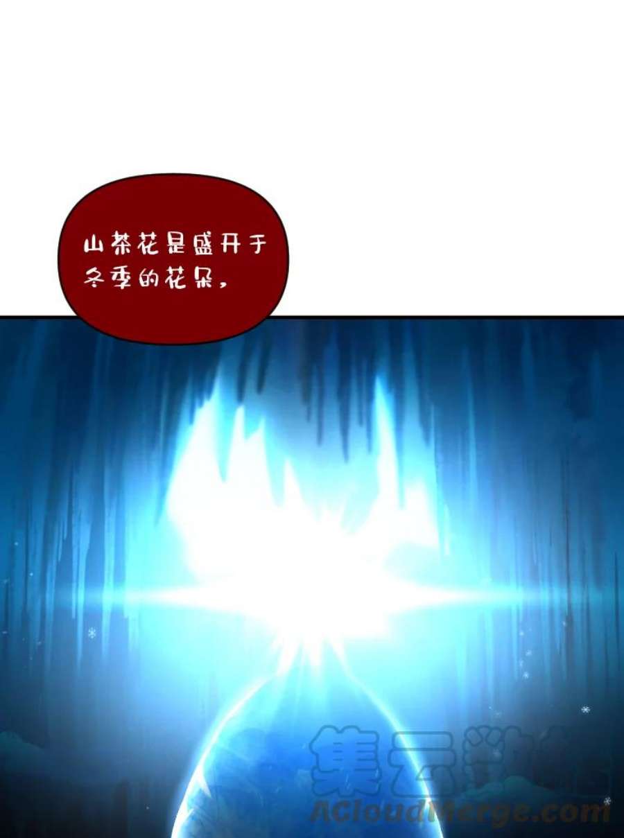 有才能的魔法师25.目睹世间之恶