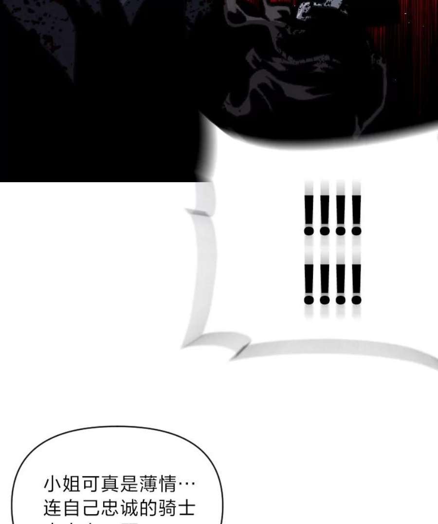 有才能的魔法师26.青狮家族