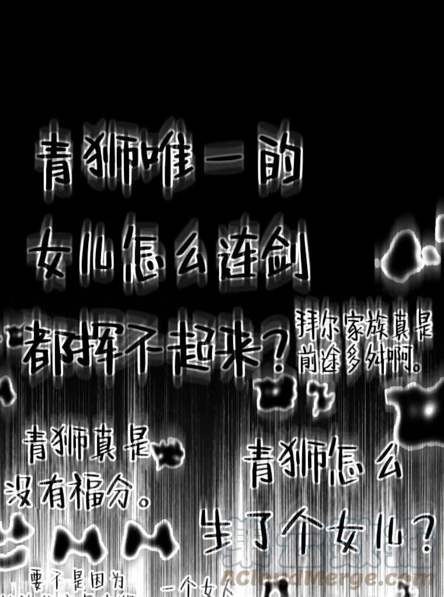 有才能的魔法师26.青狮家族