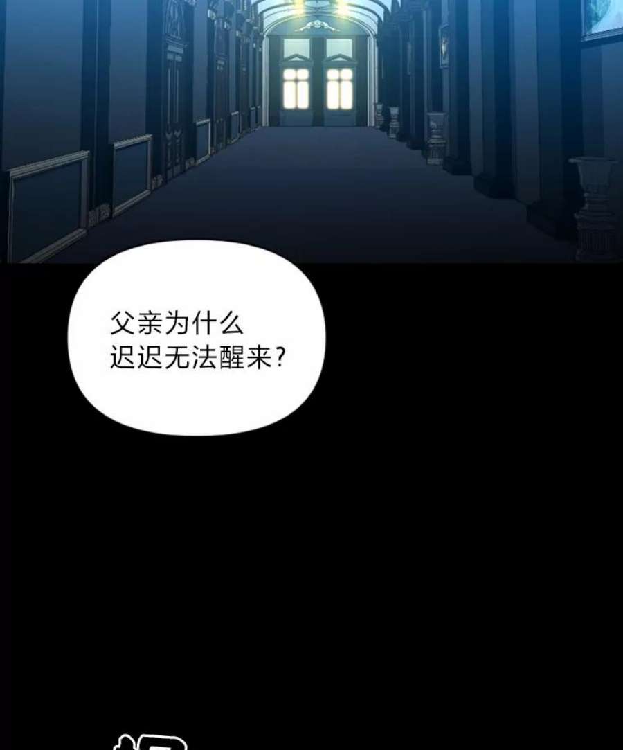 有才能的魔法师26.青狮家族