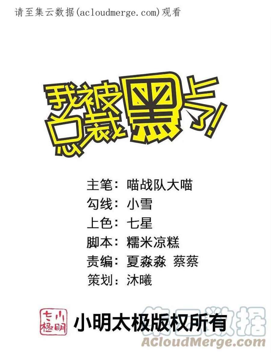 我被总裁黑上了！480话