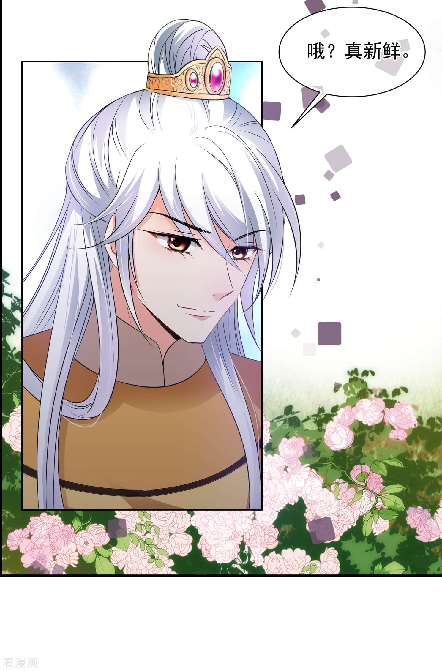 妃夕妍雪2季第32话