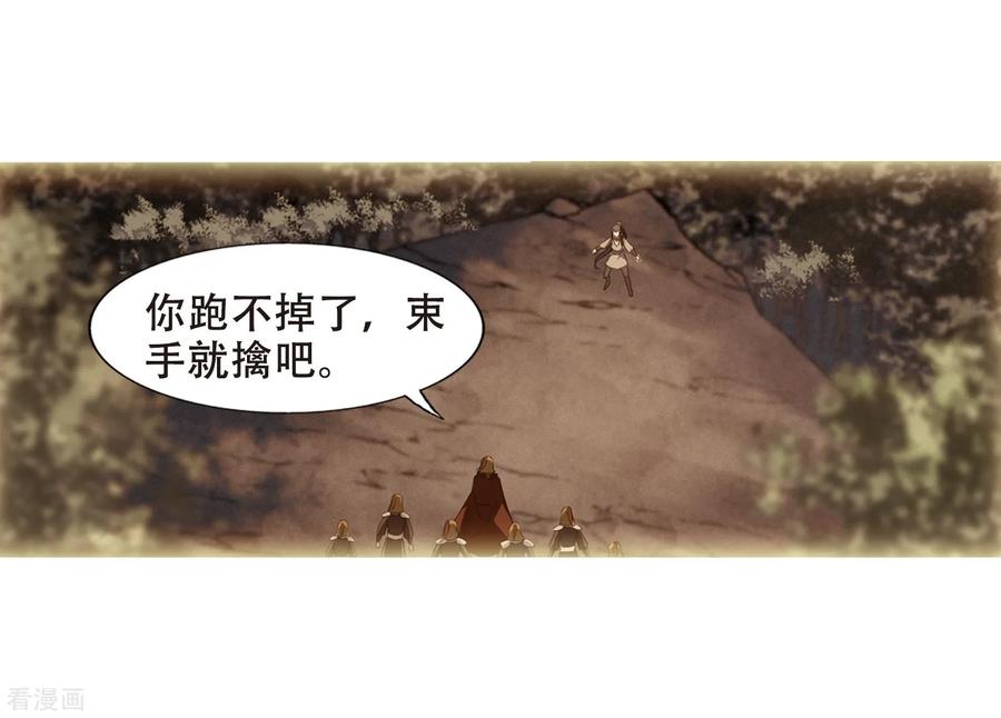 凤逆天下324话 佣兵王令21