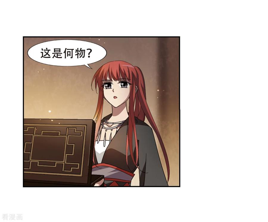 凤逆天下326话 佣兵王令31