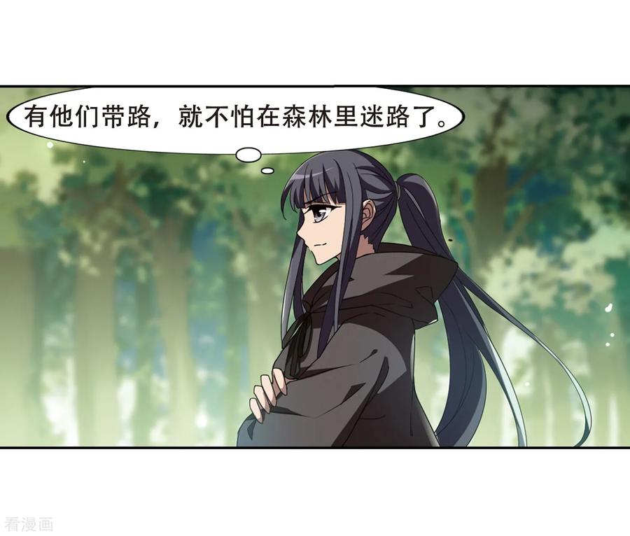 凤逆天下327话 佣兵王令32