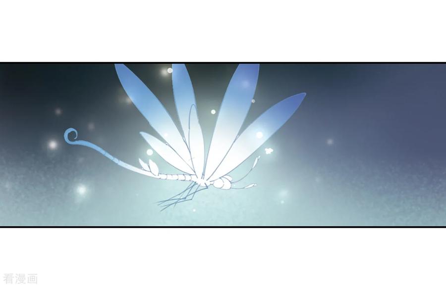 凤逆天下327话 佣兵王令32