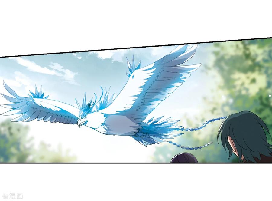 凤逆天下327话 佣兵王令32