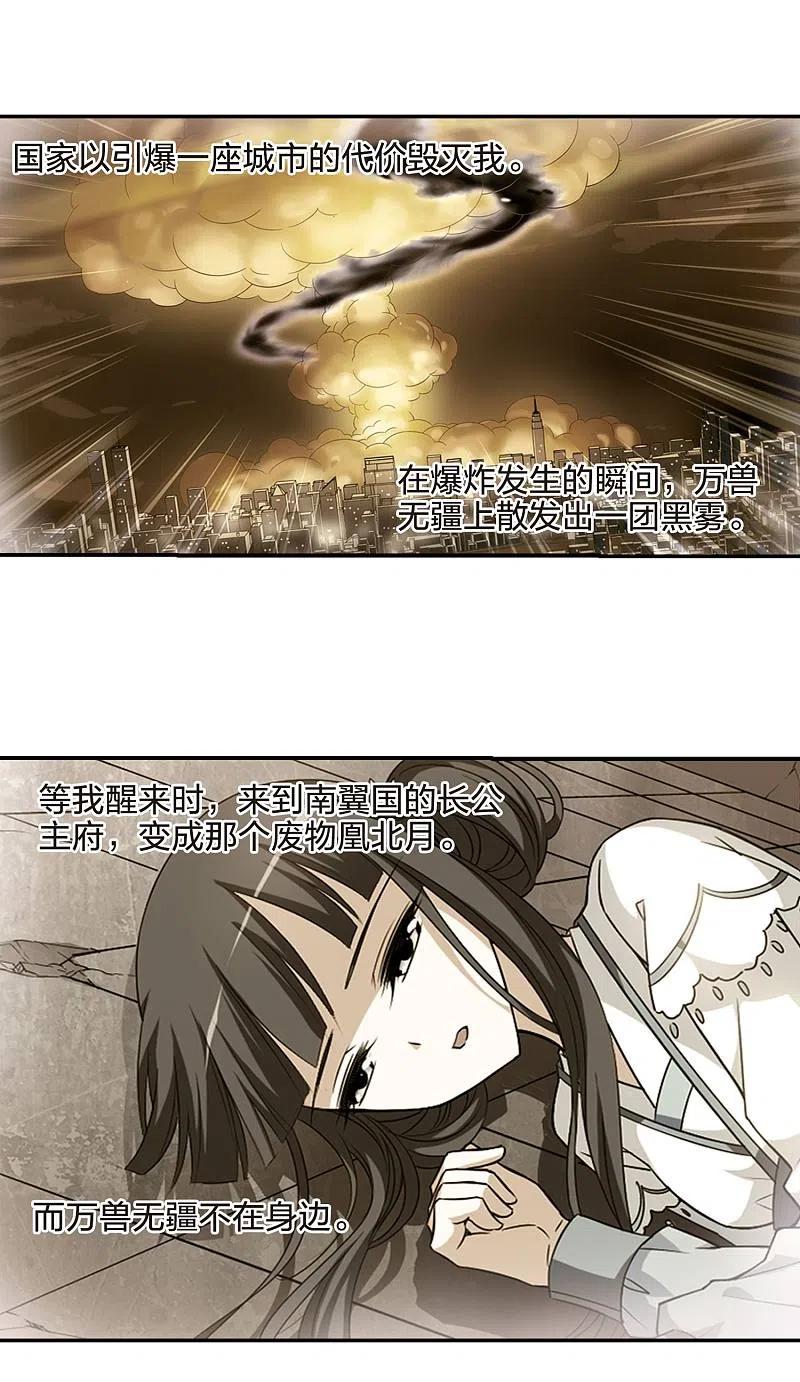 凤逆天下454话 心外化魂13