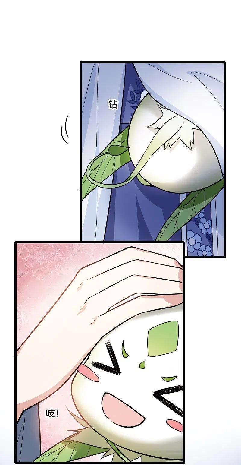 凤逆天下469话 出使北曜21