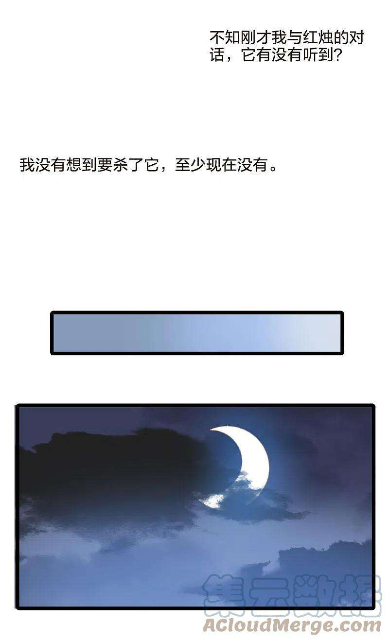 凤逆天下478话 雪中刺客11