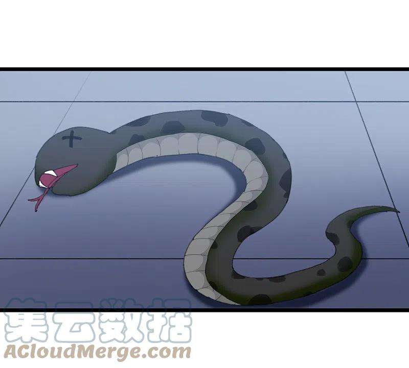 凤逆天下484话 冰之咒印2