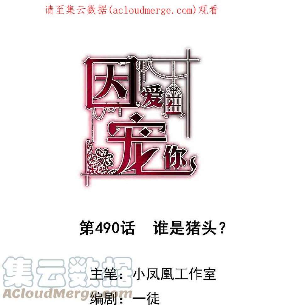 因爱宠你490话