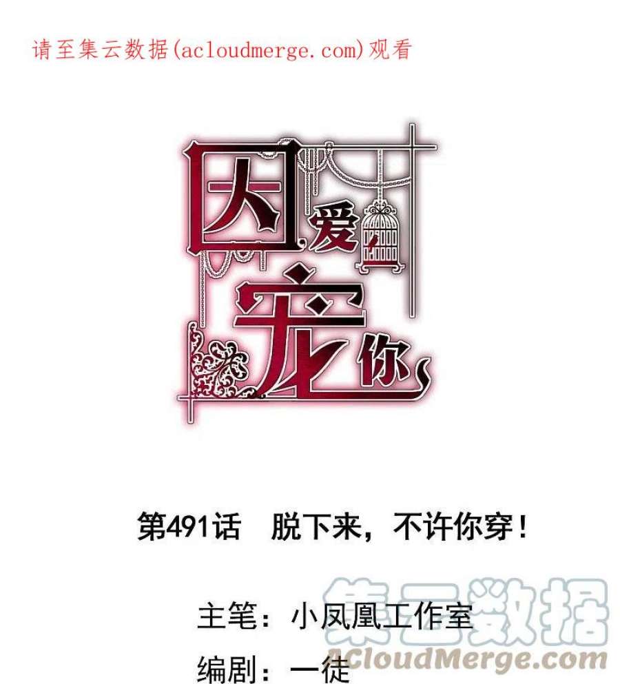 因爱宠你491话