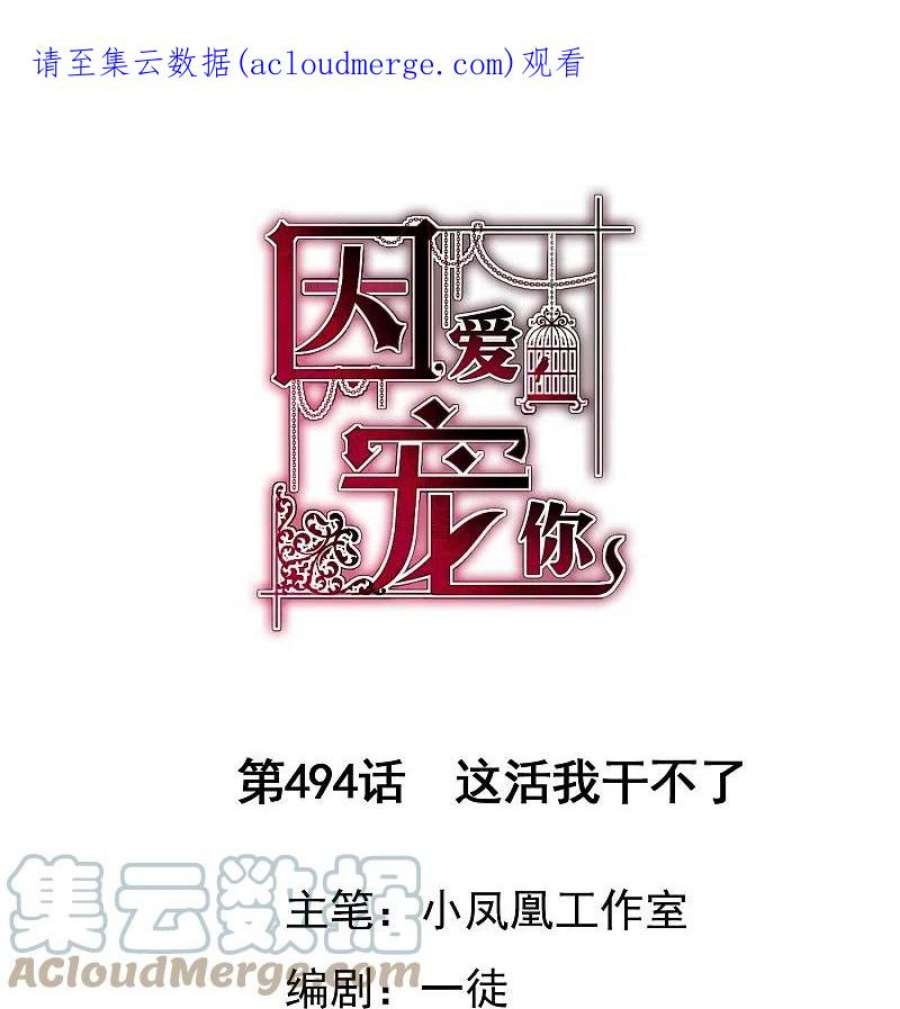 因爱宠你494话