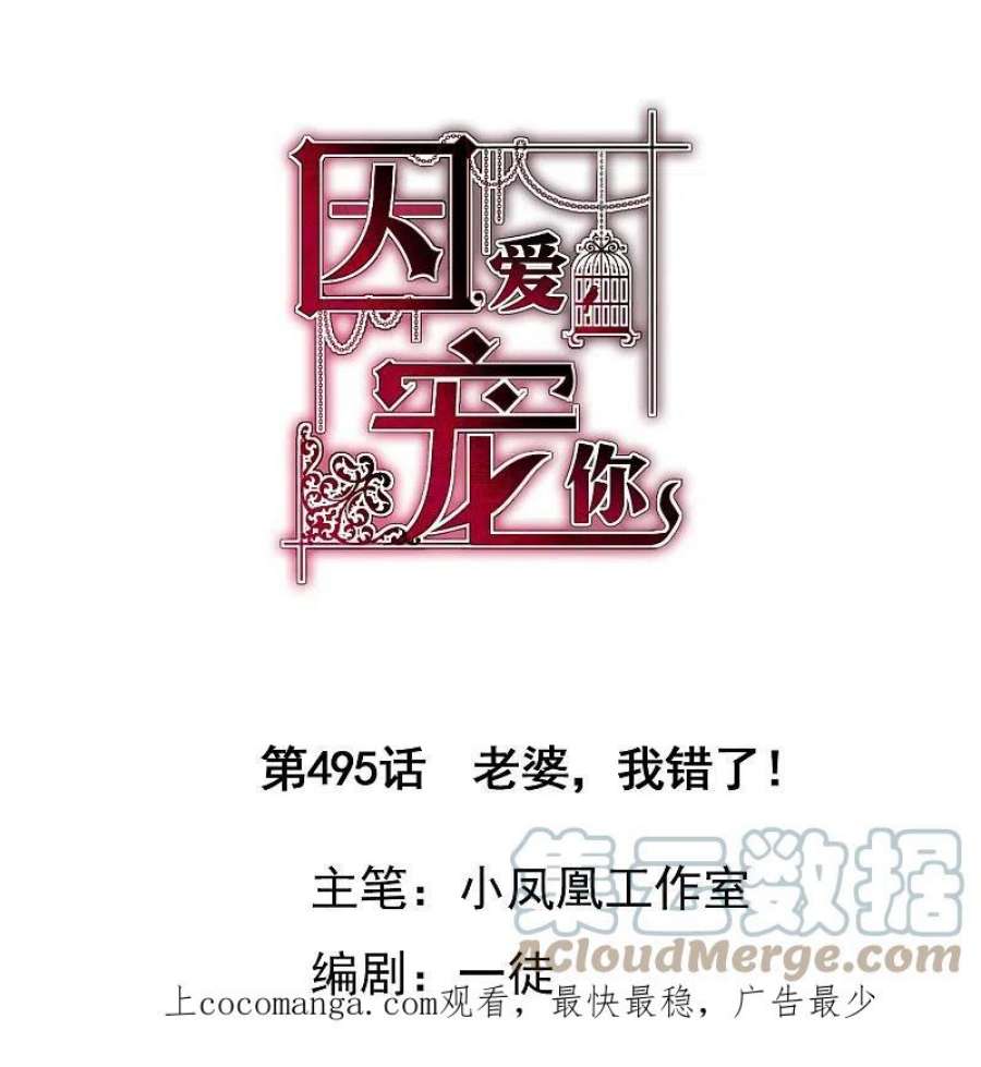 因爱宠你495话