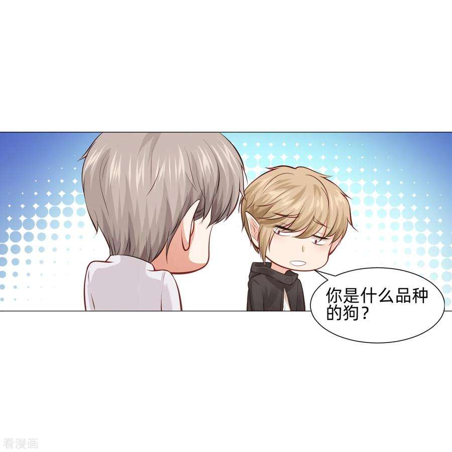明星是血族160话 动我女人只好干掉你