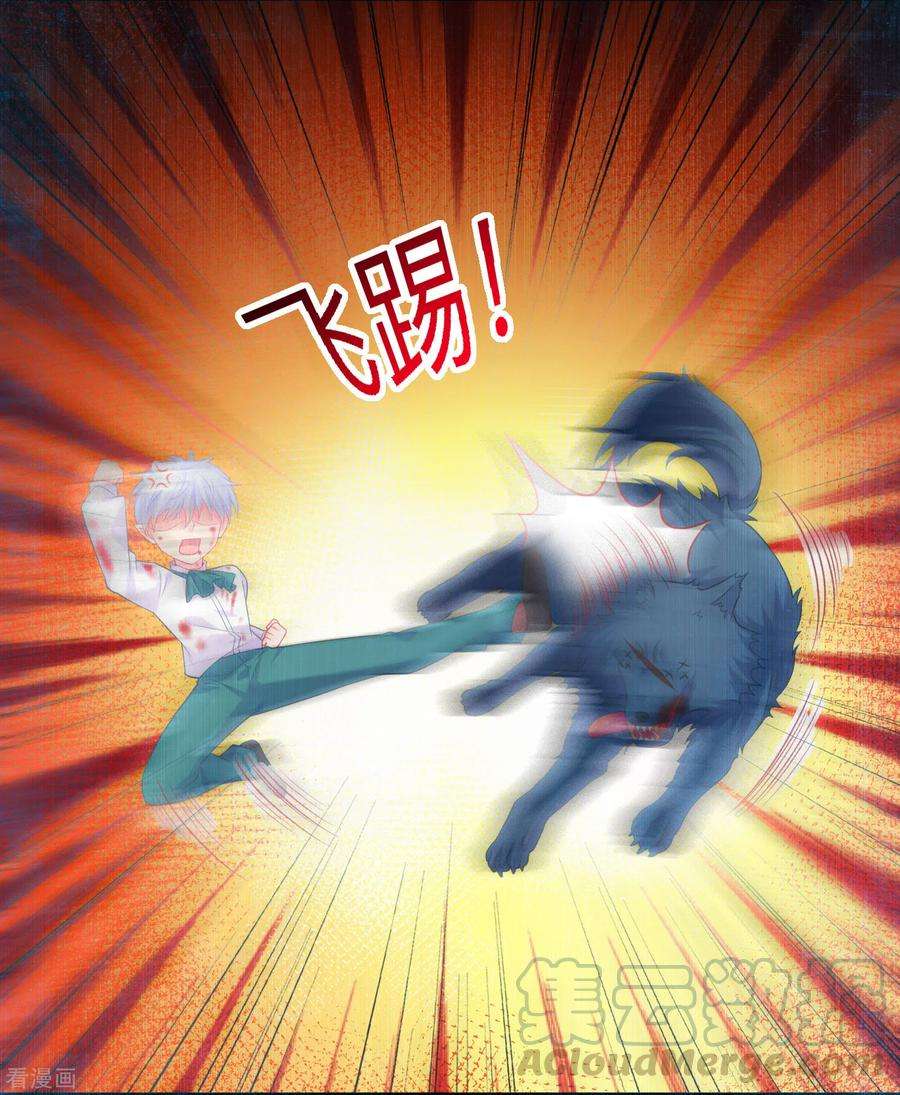明星是血族230话 白夜崽崽受伤了