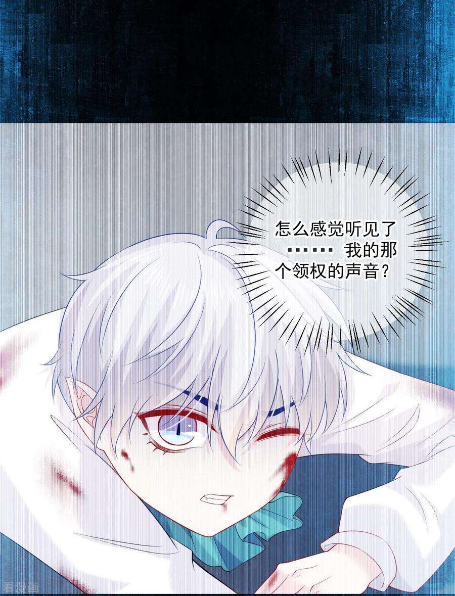 明星是血族230话 白夜崽崽受伤了