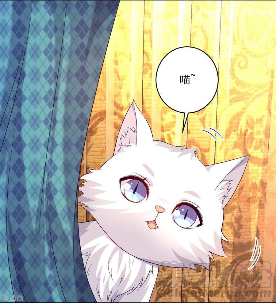 明星是血族238话 如果我的男人是只猫~